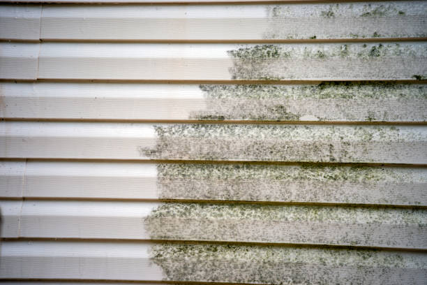 Best Historical Building Siding Restoration  in Salem, NJ