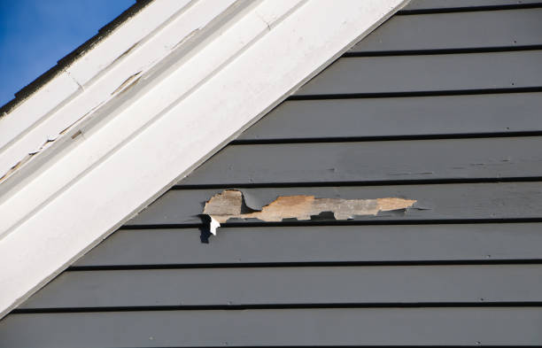 Best Siding for New Construction  in Salem, NJ