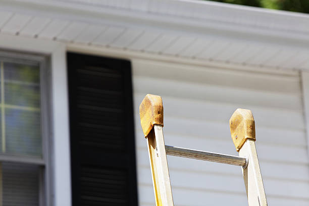 Best Custom Trim and Detailing for Siding  in Salem, NJ