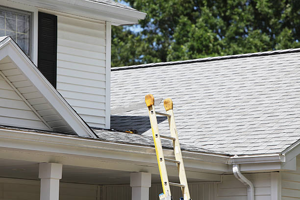 Best Siding Maintenance  in Salem, NJ