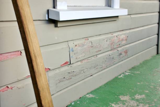 Best Composite Siding  in Salem, NJ