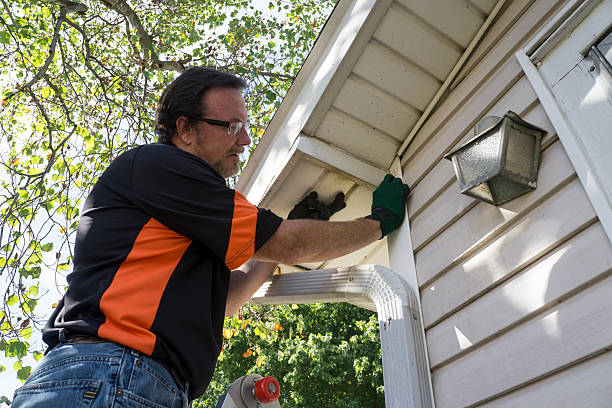 Best Engineered Wood Siding  in Salem, NJ